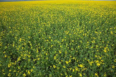 《驱灵者：新伊甸的幽灵》实机概览预告片分享