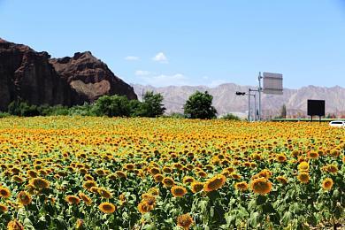 暴雪凡尔赛工作室前员工打赢官司 可追索赔偿金